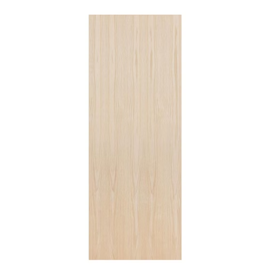 Birch Flush Door