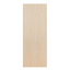 Birch Flush Door
