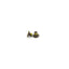 Schlage Commercial K110020613 Armor Front Screw Pack Oil Rubbed Bronze Finish